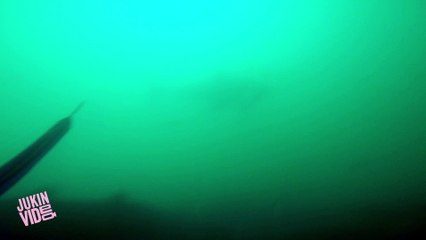18-Foot Shark Attacks Cage | Great White Serial Killer - Shark Week 2013