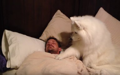 The Cutest Alarm Clock You Could Ever Have