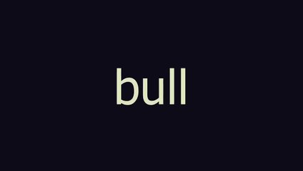 bull meaning and pronunciation