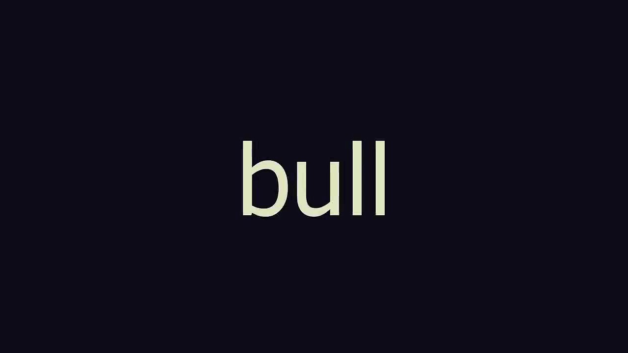 bull meaning and pronunciation