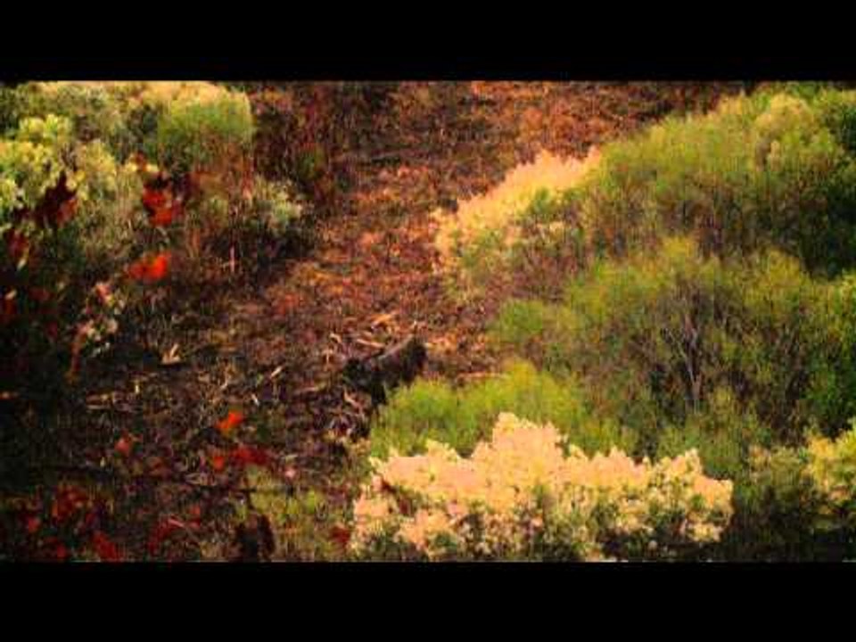 Primos  The Truth About Hunting - Will Primos Favourite Hunts