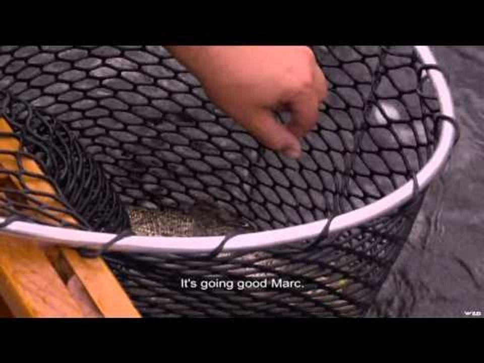 Expedition Faune - Pche Ouananiche Lac St Jean