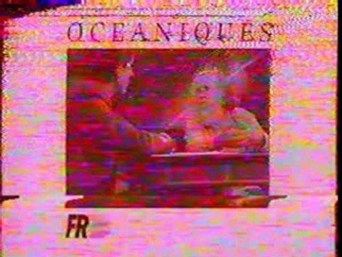 FR3 - BA diverses + Disney Channel perrot + Pubs - 1988