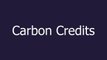 Carbon Credits meaning and pronunciation