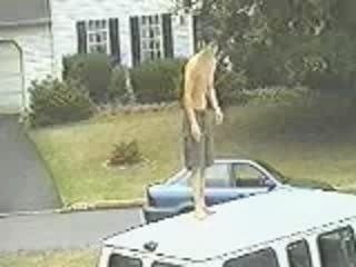 Funny Videos - Jackass - Trampoline Pool