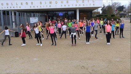 flashmob unss 2016 Mandres les Roses