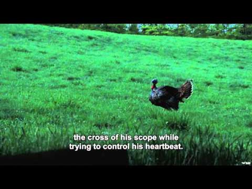 Qubec  vol d oiseau - Turkey Hunt Eastern Townships