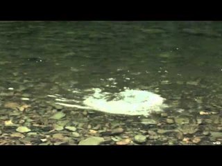 King of the River - Mississippi Pool Under Perfect Weather Conditions