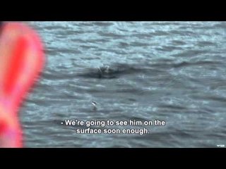 Qubec  vol d oiseau - Chinook Salmon Fishing on Lake Ontario