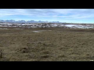 FOXPRO Furtakers - Alberta