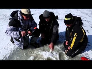 Tom Gruenwald Outdoors - Fan Of Steel