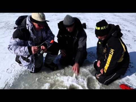 Tom Gruenwald Outdoors - Fan Of Steel