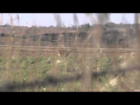 Archers Choice - Hometown Bucks Kicking Our Butts