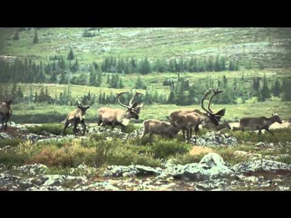 Quebec Outfitters Camp - Leaf River Lodge Outfitter