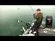 Fishful Thinking - Great Lakes Bonanza