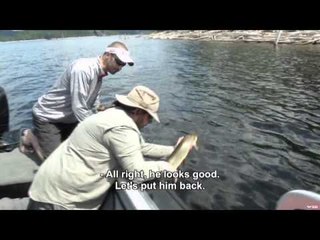 Qubec  vol d oiseau - Pike Fishing Quebec North Coast