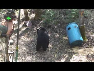 Maximus Outdoor Adventures - Dan Schmidt Bear Hunt