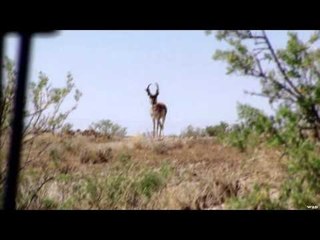 Nock On - Speed Freaks
