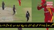 How DJ Bravo is Bashing on Muhammad Rizwan After Run Out