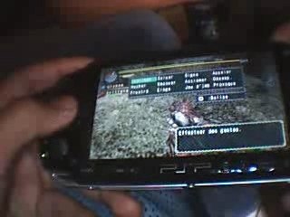 The rathalos