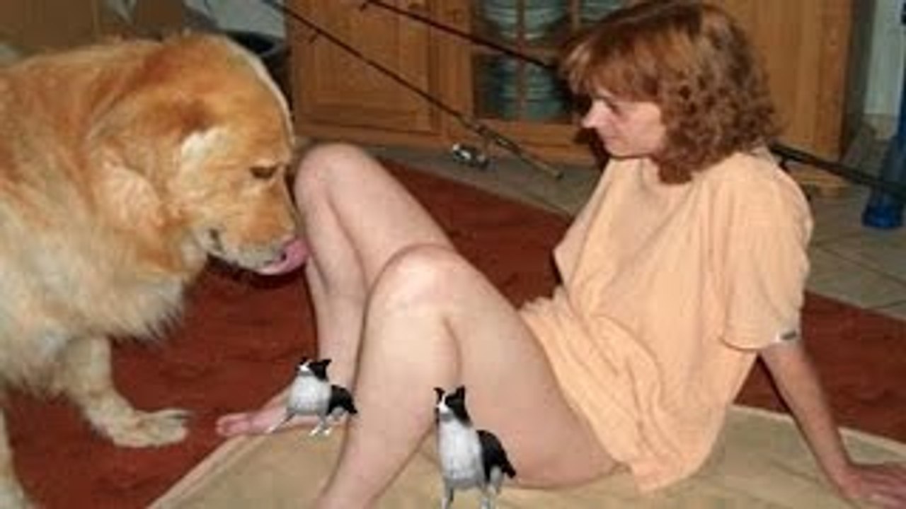 Ultimate Fail & Funny Dogs Gone
