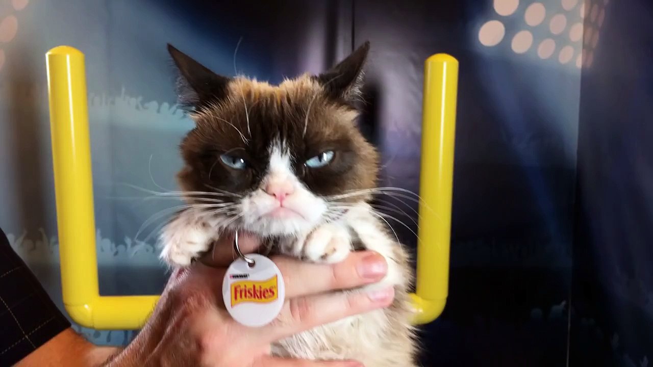 Grumpy Cats Worst Touchdown Dance Ever!