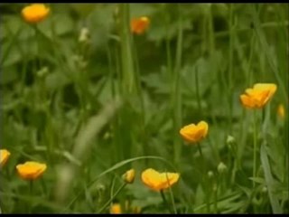 Abdurrahman Önül - Ne Zaman Anarsam Seni