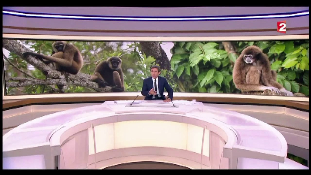 (FR) Journal de 20h, France 2, 3 Mars 2016