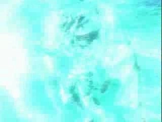 Amv-dirge of cerberus-Cradle