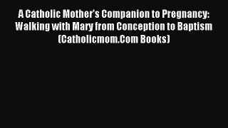 Read A Catholic Mother's Companion to Pregnancy: Walking with Mary from Conception to Baptism