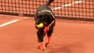 Brazil Open Tennis Match Replaces Ball Boys with Dogs