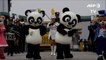 Pandas recebidos com honras na Coreia do Sul