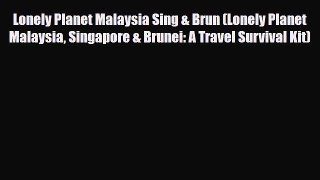 PDF Lonely Planet Malaysia Sing & Brun (Lonely Planet Malaysia Singapore & Brunei: A Travel