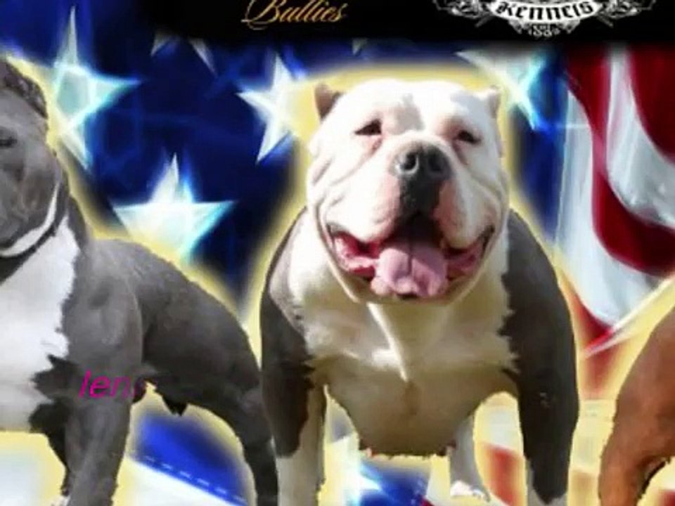 Bigbenbully^^