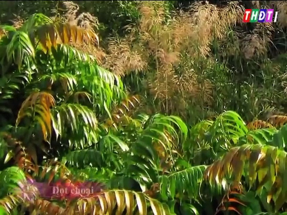 specialty Mekong Delta - Vietnam -part 1