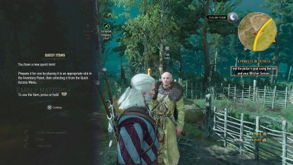 THE WITCHER 3 WALKTHROUGH PART 55 - A PRINCESS IN DISTRESS & FAMILY MATTERS