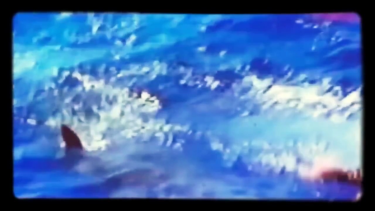 Gran Tiburón Blanco De Ataque Documental África Océano Pacífico Tiburón - 2016