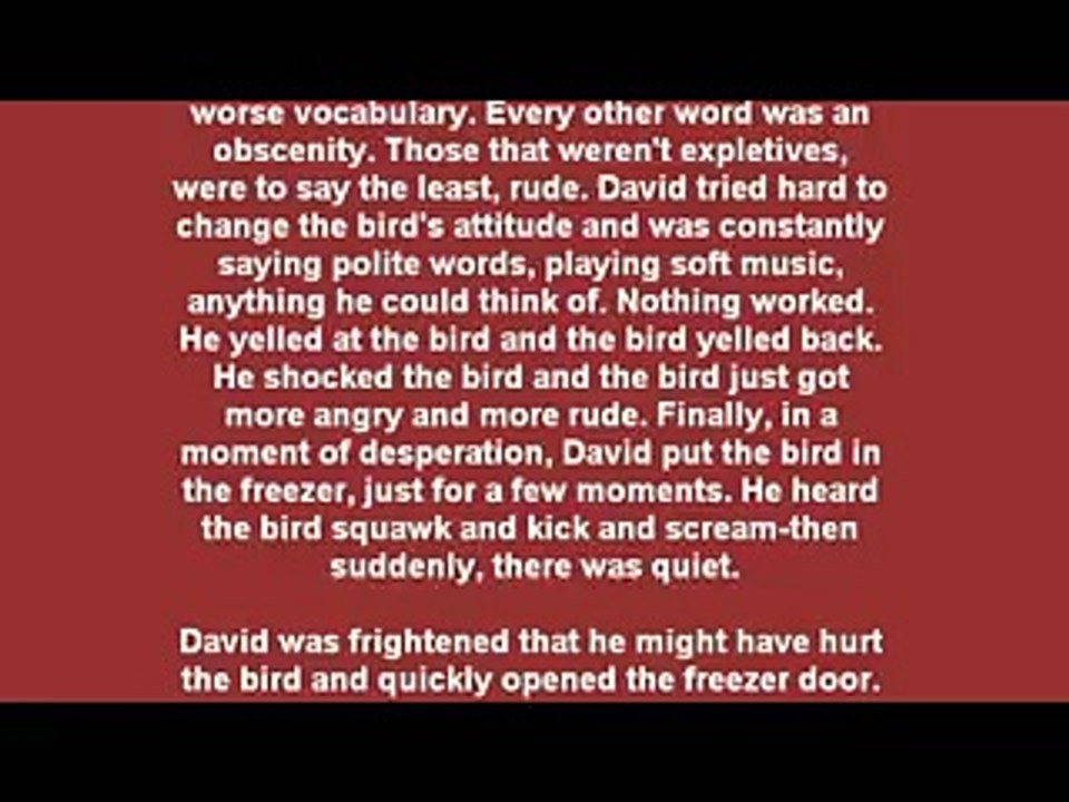 Rude Parrot Joke