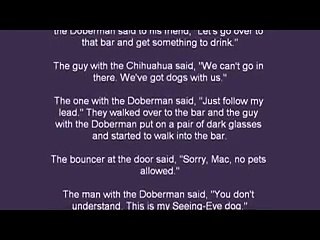 Seeing Eye Dog Joke