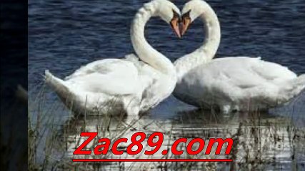 네임드달팽이 ‰↑↓ＣＶＣ７９．ＣＯＭ↓↑‰  달팽이레이싱 ゅ 달팽이분석