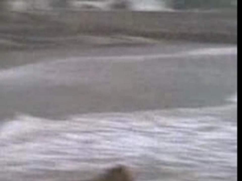 Wave in Mattrah corneesh