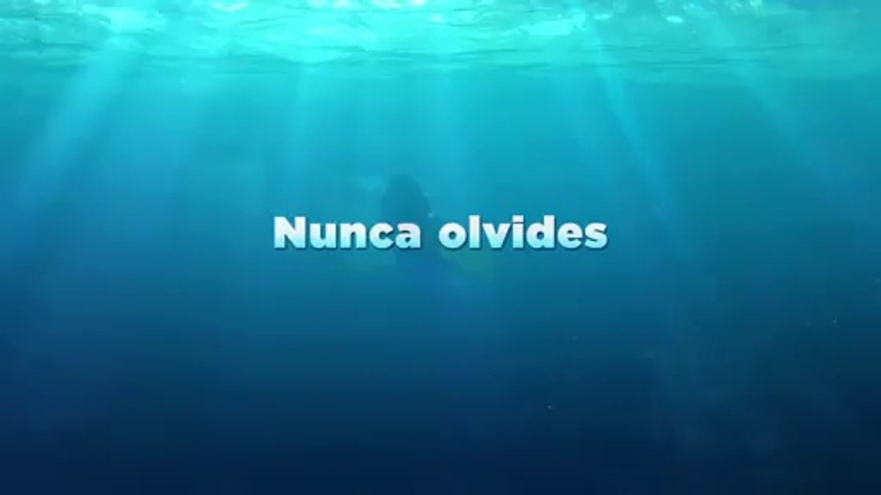 Buscando a Dory - Trailer 2 español (HD
