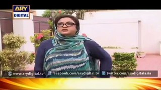 Watch Bulbulay Episode  312  3rd March 2016 on ARY Digital