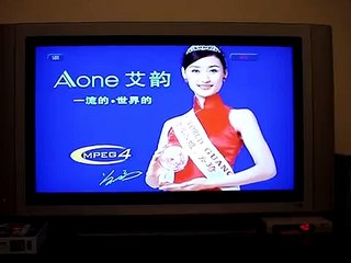 Menu Screen from Chinese Simpsons Movie DVD