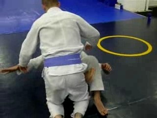 Half spider guard - sweep - passes