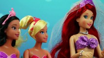 Should Ariel Marry Merman or Prince Eric? Anna & Elsa are Mermaids. DisneyToysFan