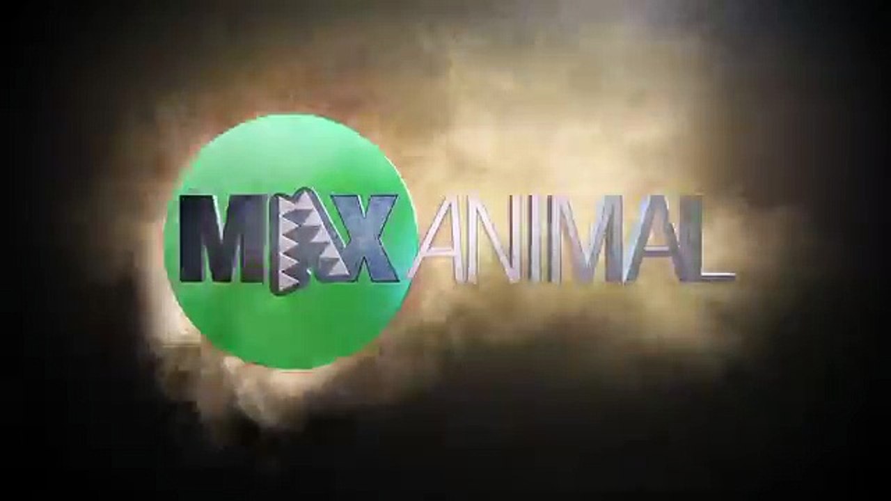 Killer Whale Surprise Beach Attack (Warning׃ Graphic Violence) - YouTube