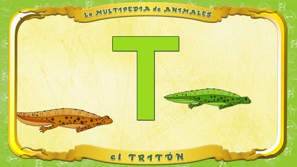 la Multipedia de animales. Letra T el Tritón