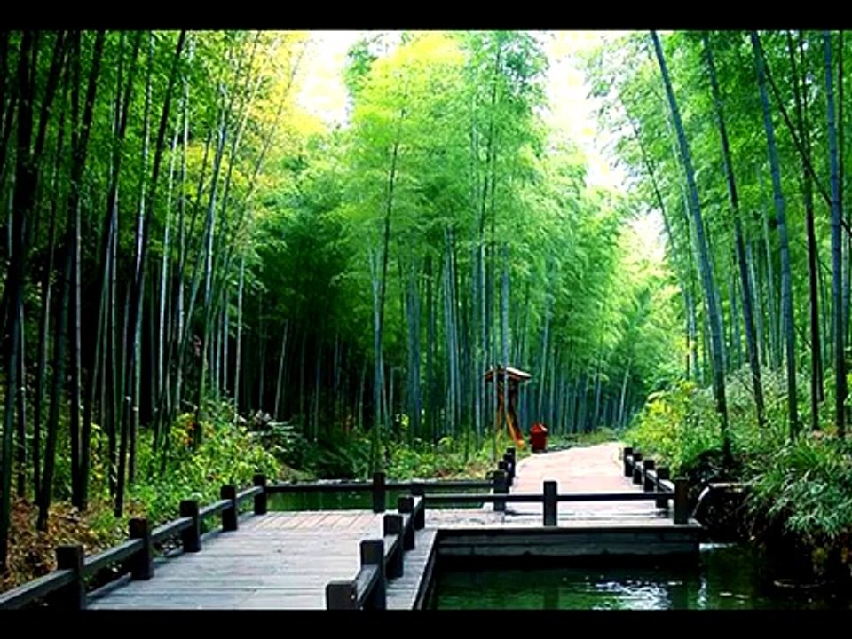 รวมดนตรีจีนบรรเลงเพราะๆ ชุดที่ 1 [Chinese Instrumental Music] By pum
