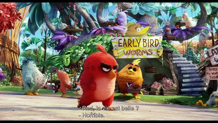 Angry Birds - Trailer 2 VOST / Bande-annonce